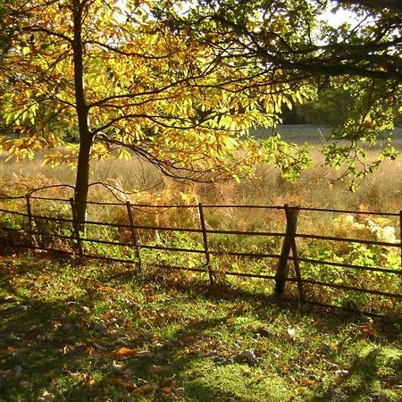 Tekels Park Guest House Camberley Bagian luar foto
