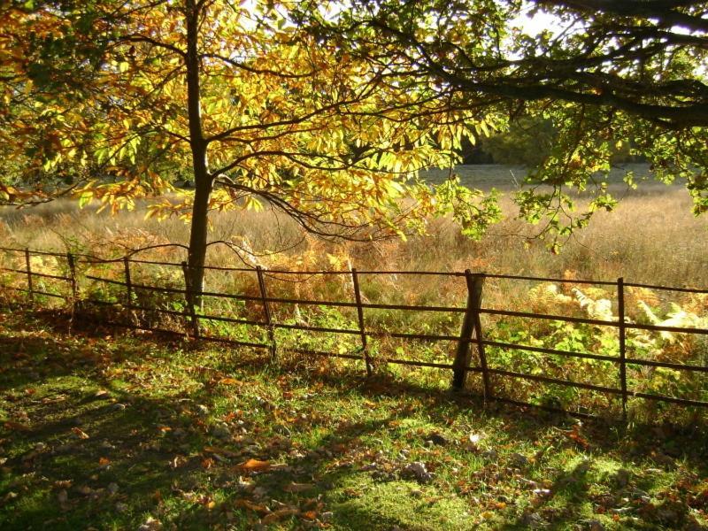 Tekels Park Guest House Camberley Bagian luar foto
